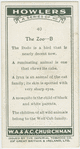 The zoo - B