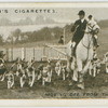 Moving off from the kennels : West Kent foxhounds at Otford Sevenoaks.