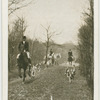 In full cry. Southdown foxhounds at Cooksbridge.
