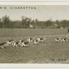 In hot pursuit.  Essex Union foxhounds at Shenfield, Essex.