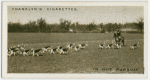 In hot pursuit.  Essex Union foxhounds at Shenfield, Essex.