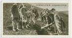 Digging out a fox.  United foxhounds at Church Stretton, Salop.