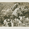 Cubbing: digging out a faox.  Miss Guest's foxhounds near Sherborne, Dorset.