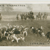 Cubbing: the kill.  Whaddon Chase foxhounds near Winslow, Bucks.