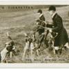 The kill: giving fox to the hounds.  Warwickshire Foxhounds at Shucksburgh.