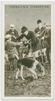"Blooding" a youngster. Bicester Foxhounds at Everly Village.