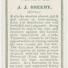 J.J. Sheehy. (Kerry.)