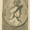 Lysander.