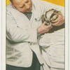 Sydney A. Kemp, F.Z.S., zoo dentist.