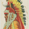 Man and Chief.