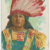 Chief Gall.