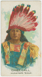 Chief Gall.