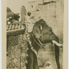 South of India, government elephant in state costume.