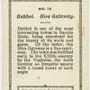 Dabhol.  Hira Gateway.
