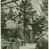 Young woman in kimono in Golden Gate Park Tea Garden, San Francisco