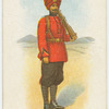 Indian regiments series