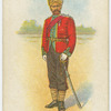 Indian regiments series