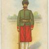 Indian regiments series