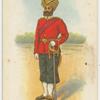 Indian regiments series