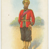 Indian regiments series