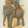 Indian regiments series