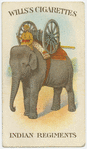 Indian regiments series