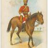 Indian regiments series