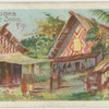 Native houses, at Suva, Figi [Fiji].