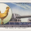 "The cock of the fleet."