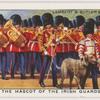 The mascot of the Irish Guards.