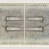 The lines of force in a magnetic field.
