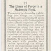 The lines of force in a magnetic field.