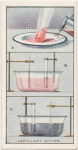 Capillary action.