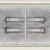 The lines of force in a magnetic field.