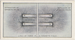 The lines of force in a magnetic field.