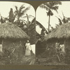Native Jamaican Thatched Hut among the Cocoanut Palms and Banana Trees