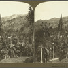A View in Castleon Gardens, Jamaica