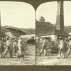 Coolies working at the mill on the Sugar Estate "Seven Plantations," near May Pen, Jamaica