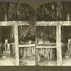 Tobacco Leaves in the Drying Shed, May Pen, Jamaica