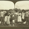 Jamaican Women selling their Meagre Produce of Vegetables in the Mandeville Market