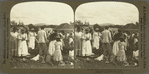 Jamaican Women selling their Meagre Produce of Vegetables in the Mandeville Market