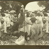 Natives bartering for Jamaica Sugar in the Mandeville Market, Jamaica