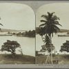 Harbor, showing the filibustering S. S. Bermuda, Port Antonio, Jamaica