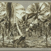 John Crow," Jamaica