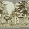 A typical scene in Port Antonio, Jamaica