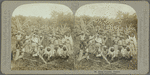 Group of coolies, Jamaica
