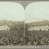 Tobacco plantation, Jamaica