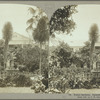 Public Gardens, Spanishtown, Jamaica