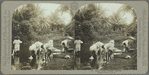 Native women washing, Jamaica
