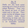 Shells.